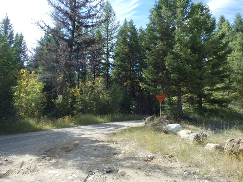 Sign warns of Log Trucks.